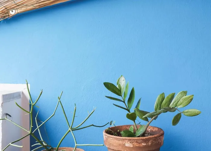 Cala & Cassari View By Domusicily Apartment Palermo